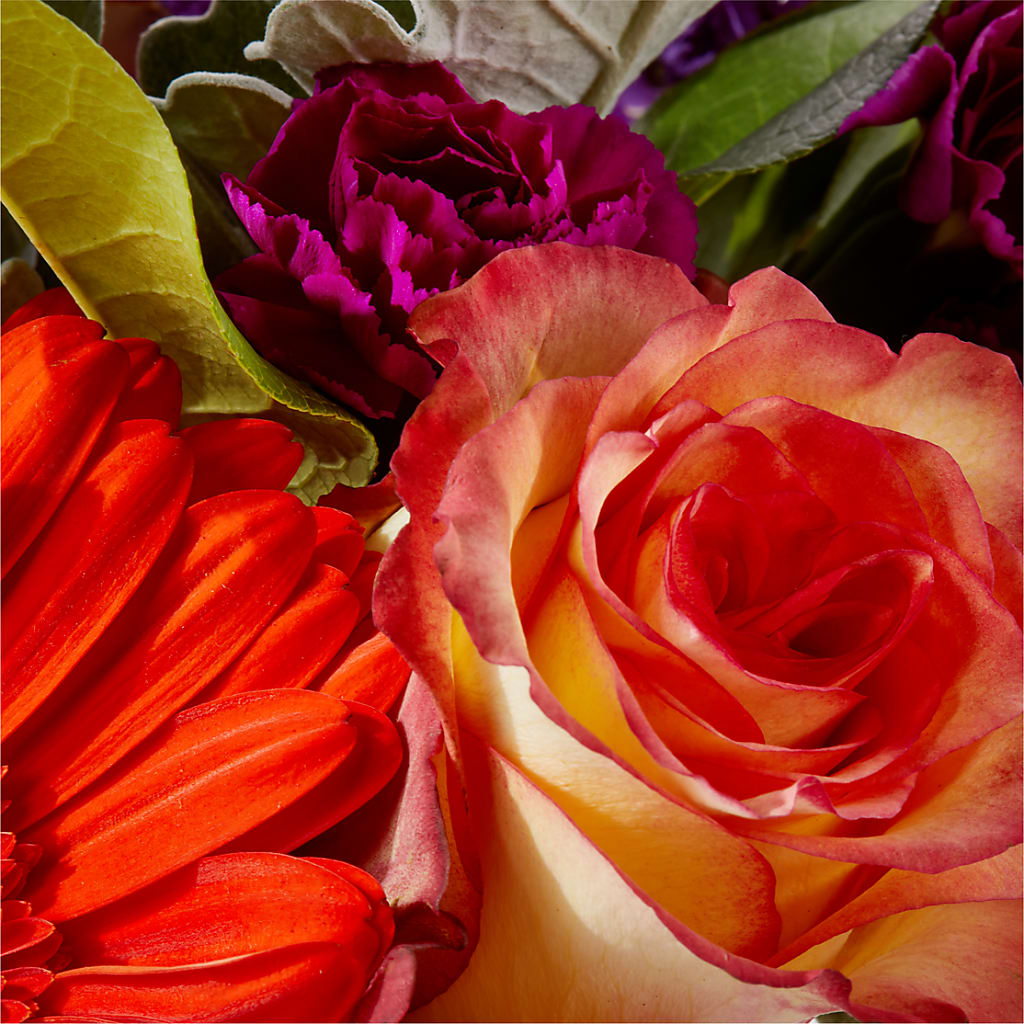 Sangria Bouquet –  Grayson Florist And Gifts, Independence VA