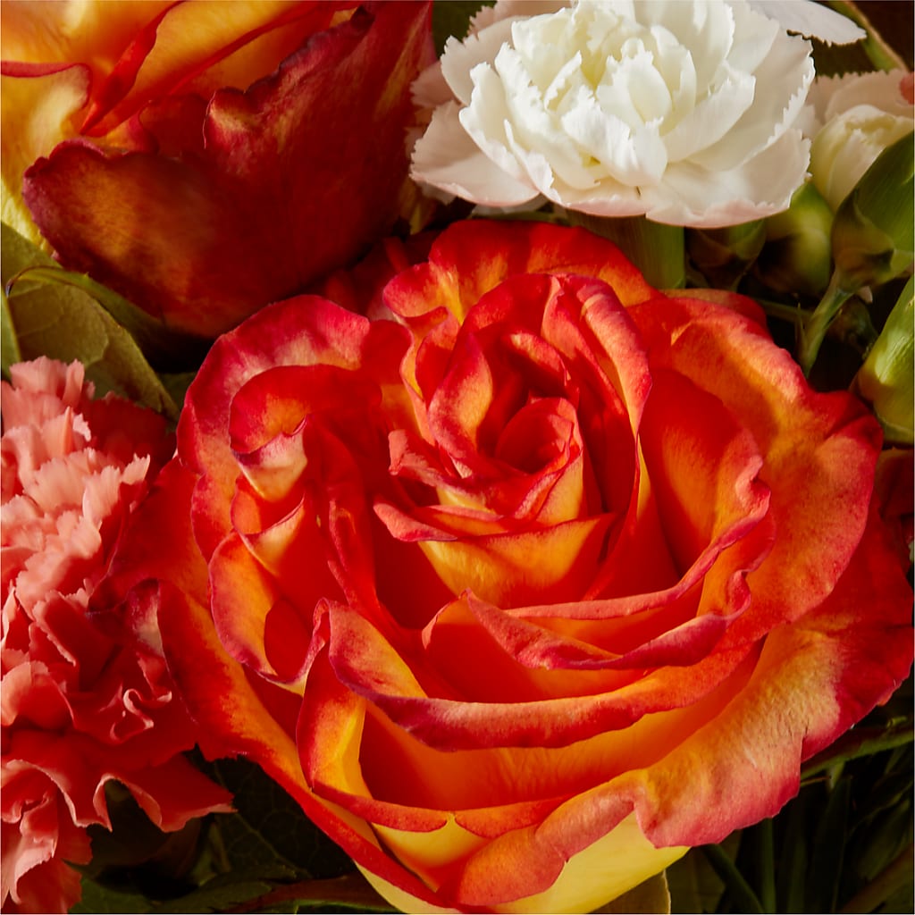 Apricot Glow Bouquet –  Grayson Florist And Gifts, Independence VA