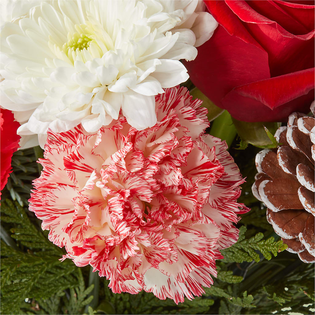 Candy Cane Lane Bouquet –  Grayson Florist And Gifts, Independence VA
