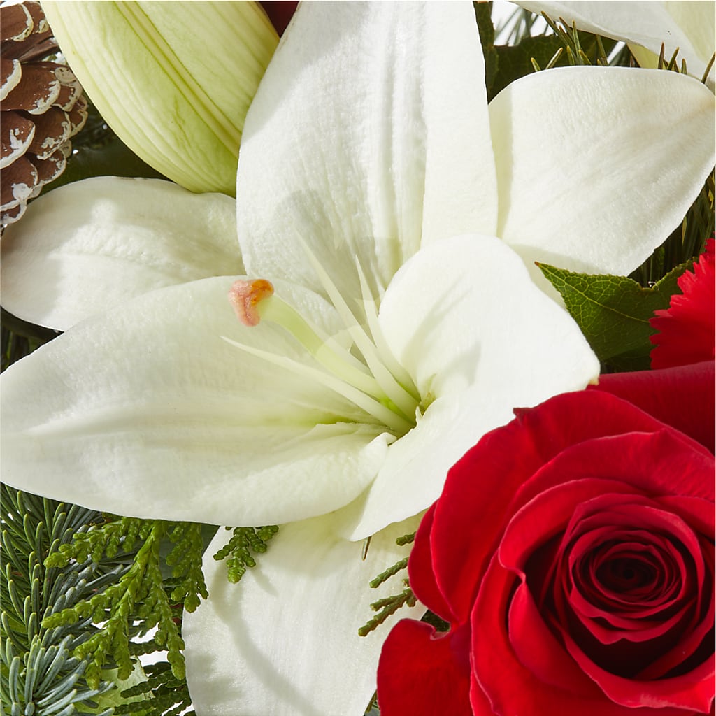 Oh So Jolly Bouquet –  Grayson Florist And Gifts, Independence VA