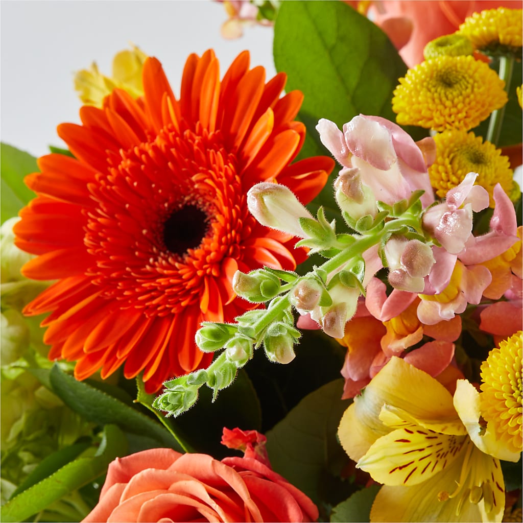 Autumn Sunshine Bouquet –  Grayson Florist And Gifts, Independence VA