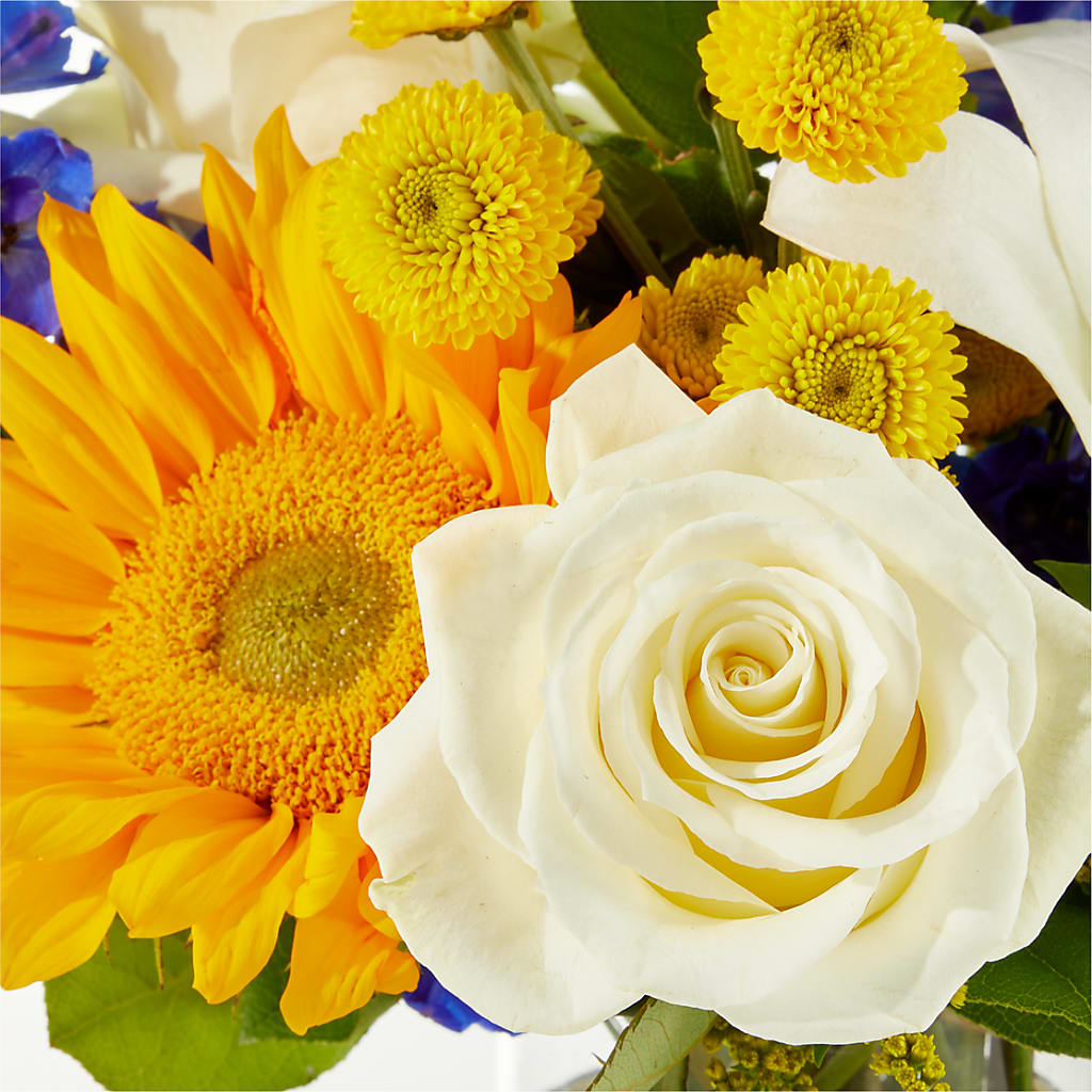 Stargazing Bouquet –  Grayson Florist And Gifts, Independence VA
