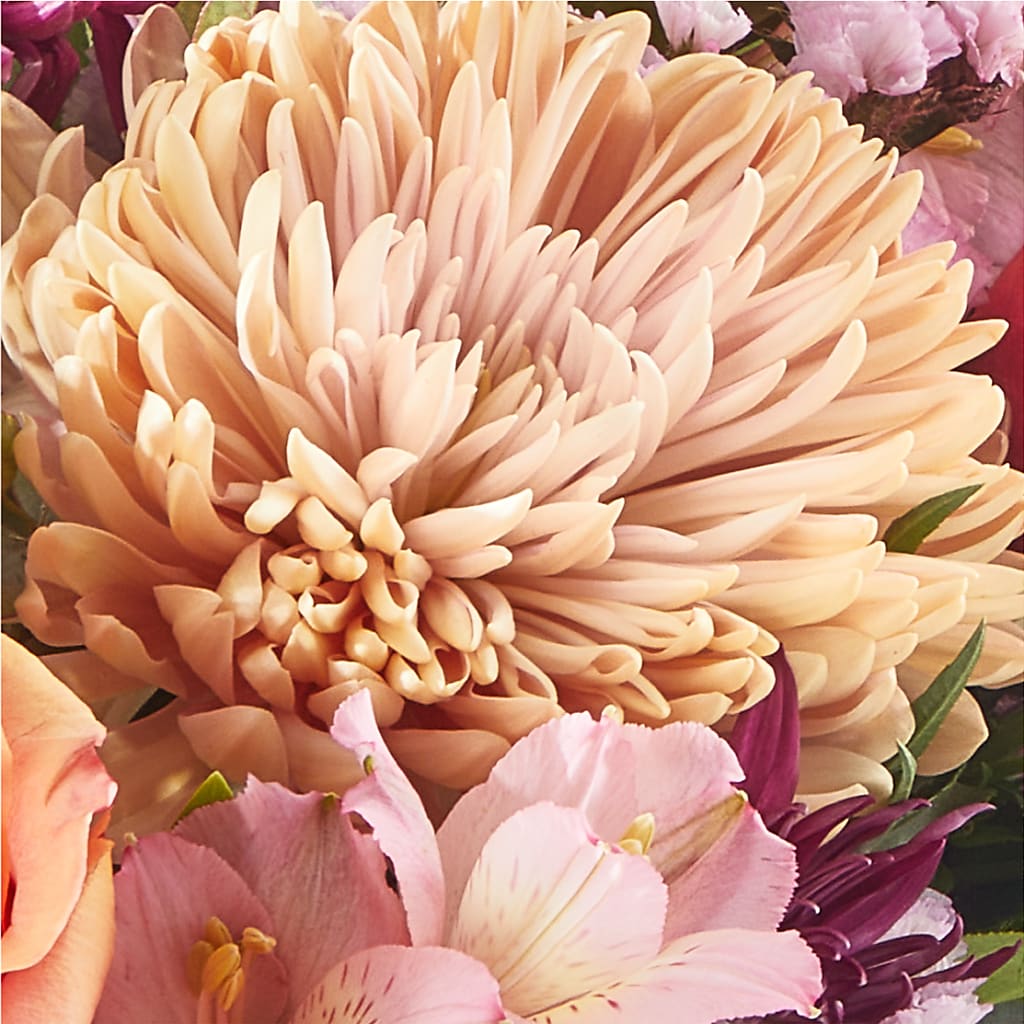Berry Cobbler Bouquet –  Grayson Florist And Gifts, Independence VA