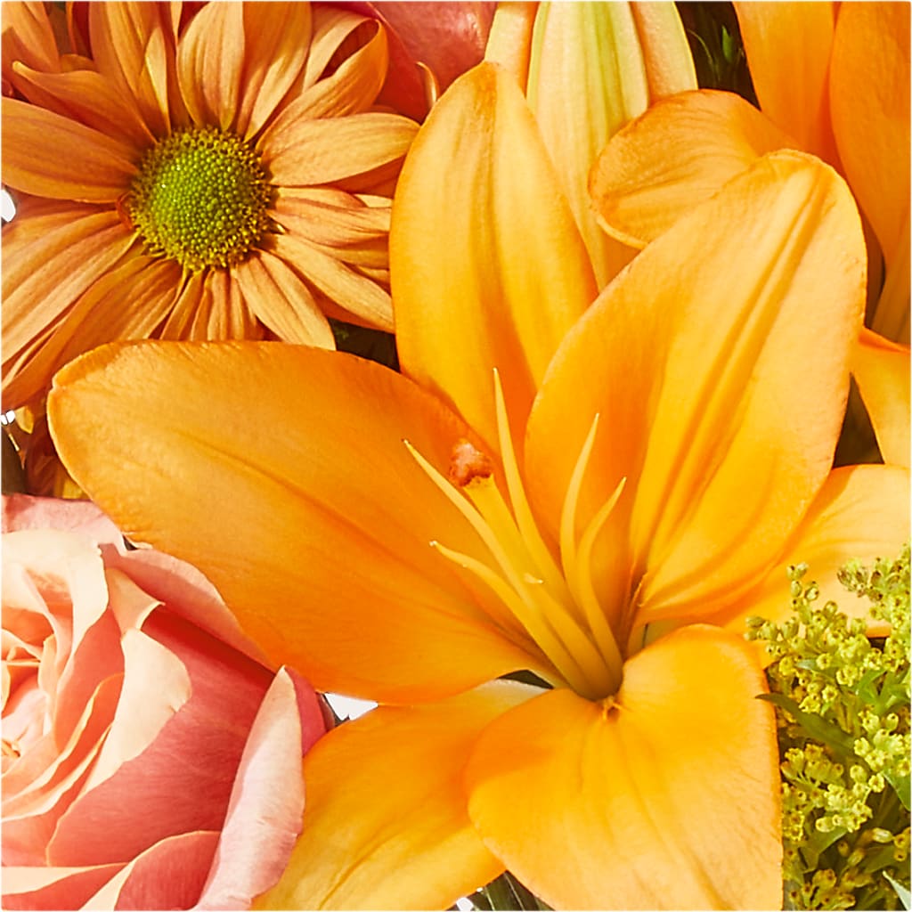 Harvest Hayride Bouquet –  Grayson Florist And Gifts, Independence VA