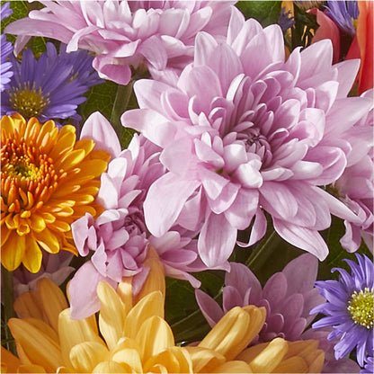 Countryside Bouquet –  Grayson Florist And Gifts, Independence VA