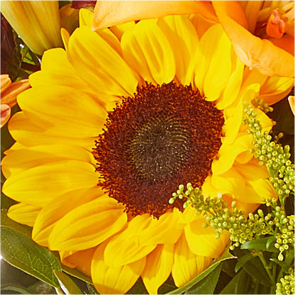 Seasons Change Bouquet –  Grayson Florist And Gifts, Independence VA