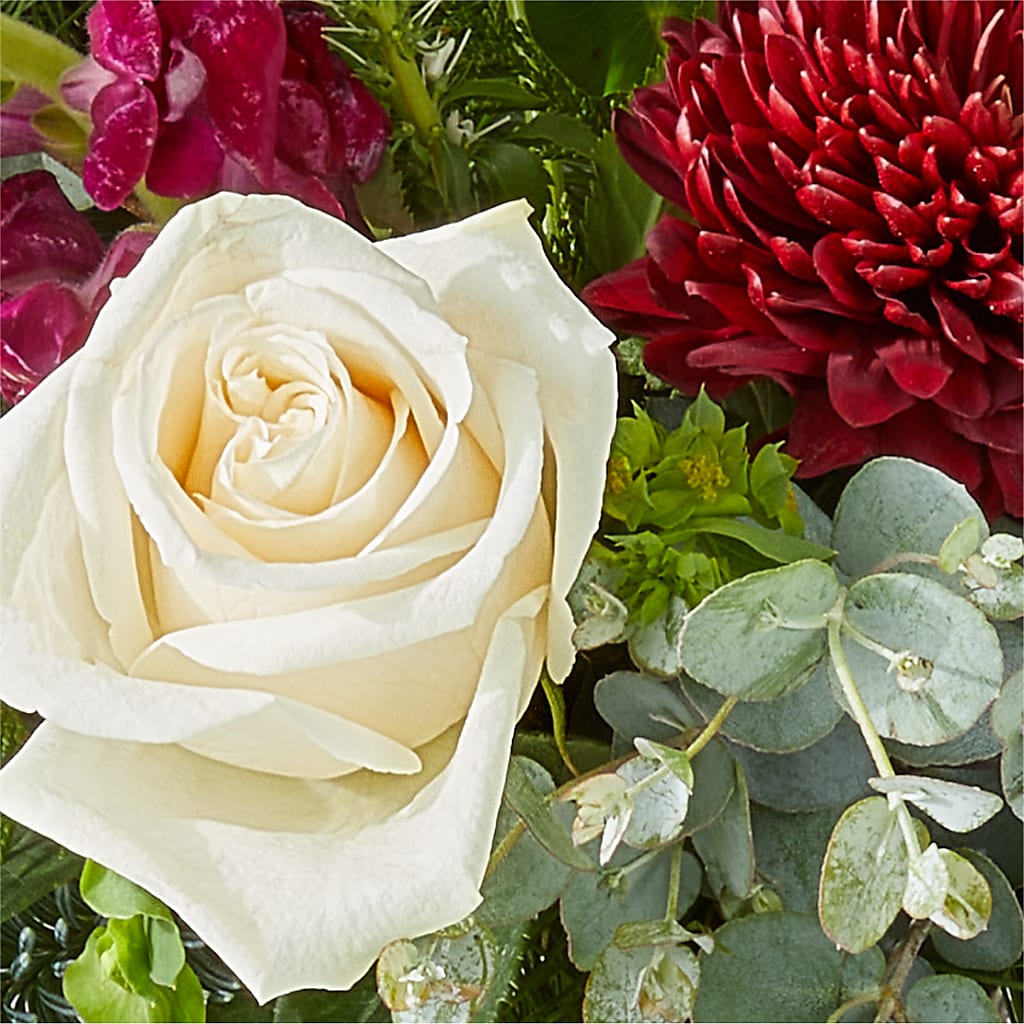 Cranberry Fizz Bouquet –  Grayson Florist And Gifts, Independence VA