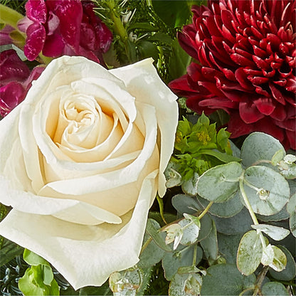 Cranberry Fizz Bouquet –  Grayson Florist And Gifts, Independence VA