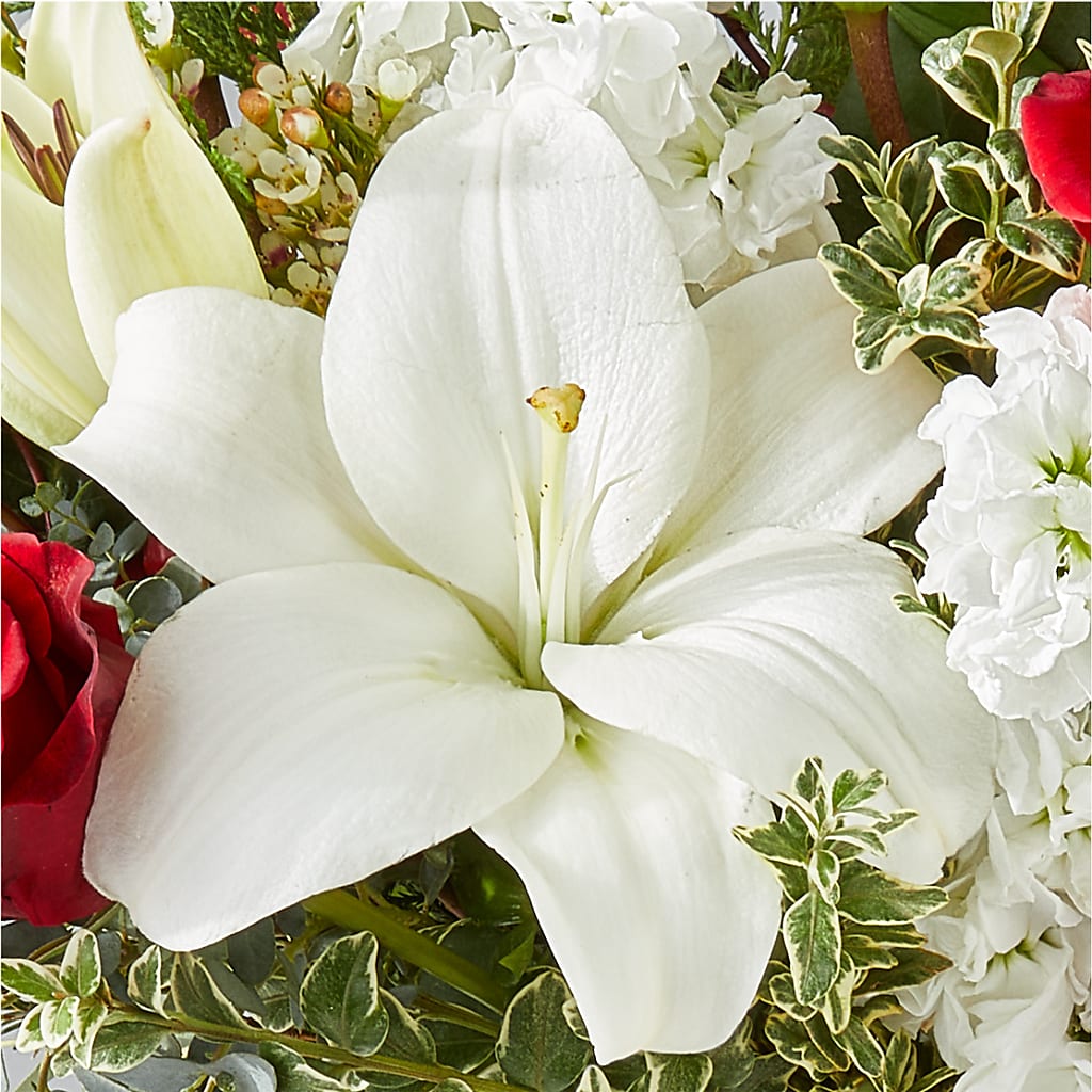 Twinkle Lights Bouquet –  Grayson Florist And Gifts, Independence VA