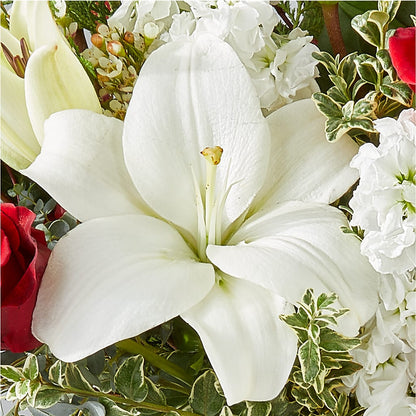 Twinkle Lights Bouquet –  Grayson Florist And Gifts, Independence VA
