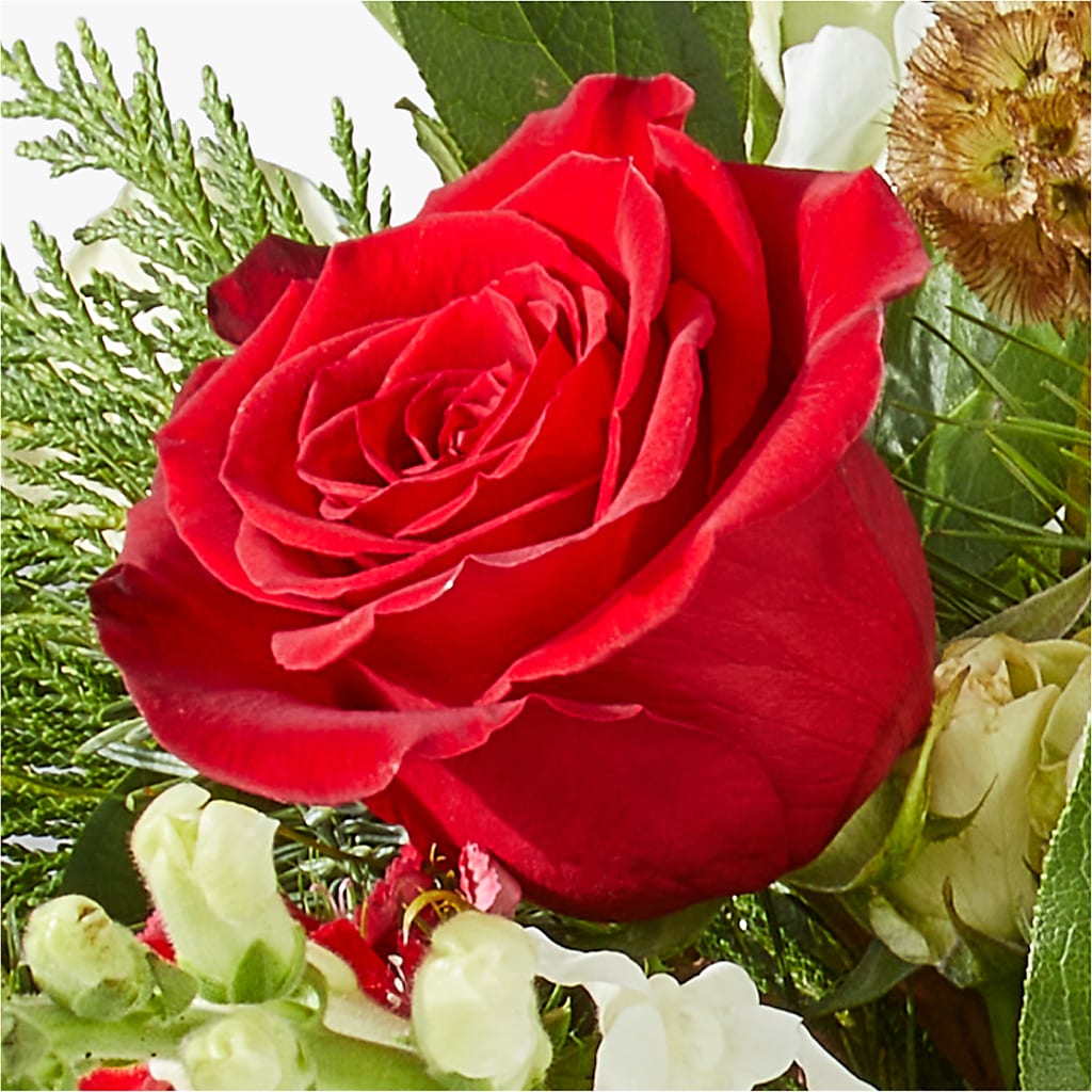 Deck the Halls Bouquet –  Grayson Florist And Gifts, Independence VA