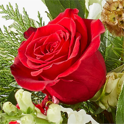 Deck the Halls Bouquet –  Grayson Florist And Gifts, Independence VA