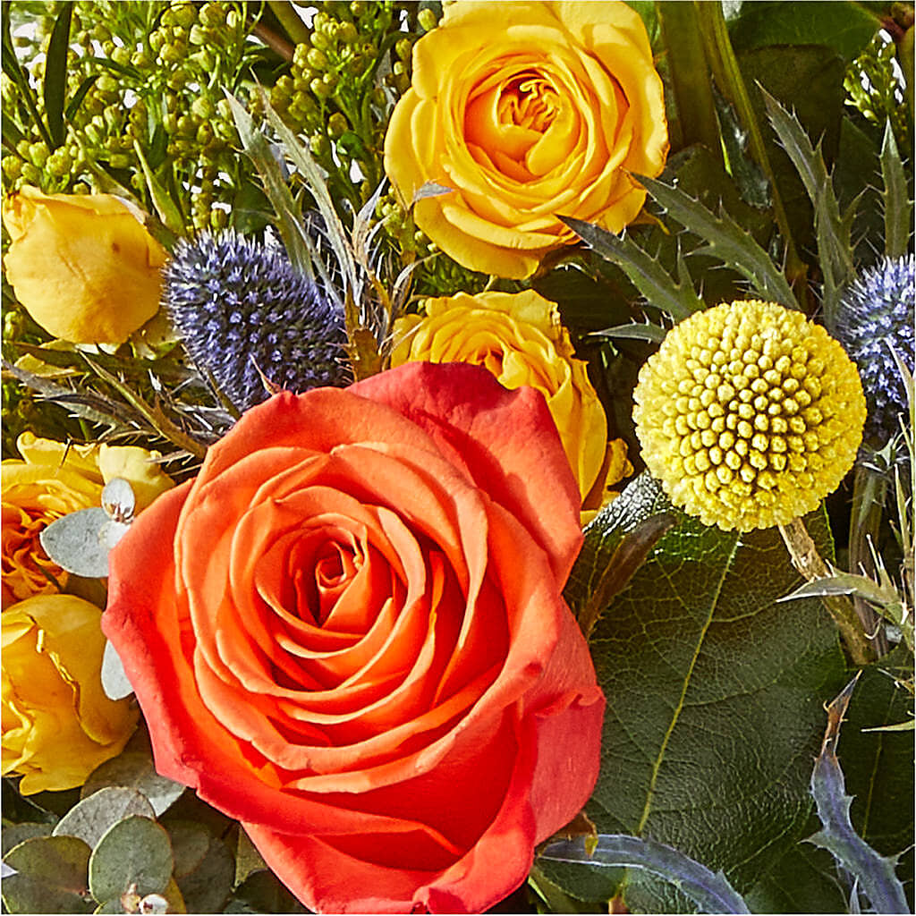 Disco Bouquet –  Grayson Florist And Gifts, Independence VA