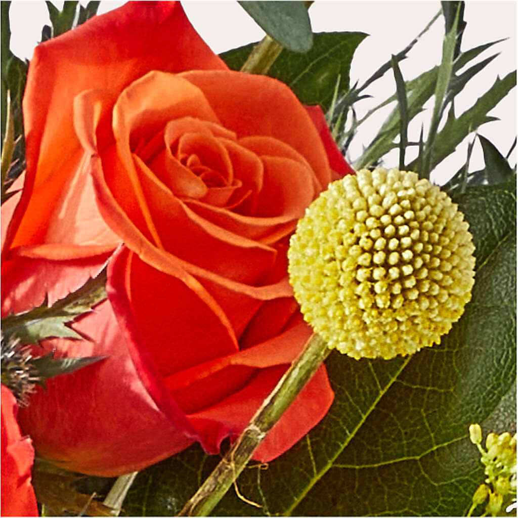 Disco Bouquet –  Grayson Florist And Gifts, Independence VA