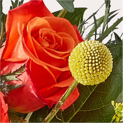 Disco Bouquet –  Grayson Florist And Gifts, Independence VA