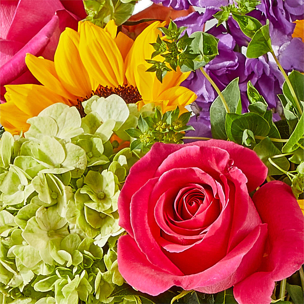 Vibrant Greetings Bouquet –  Grayson Florist And Gifts, Independence VA