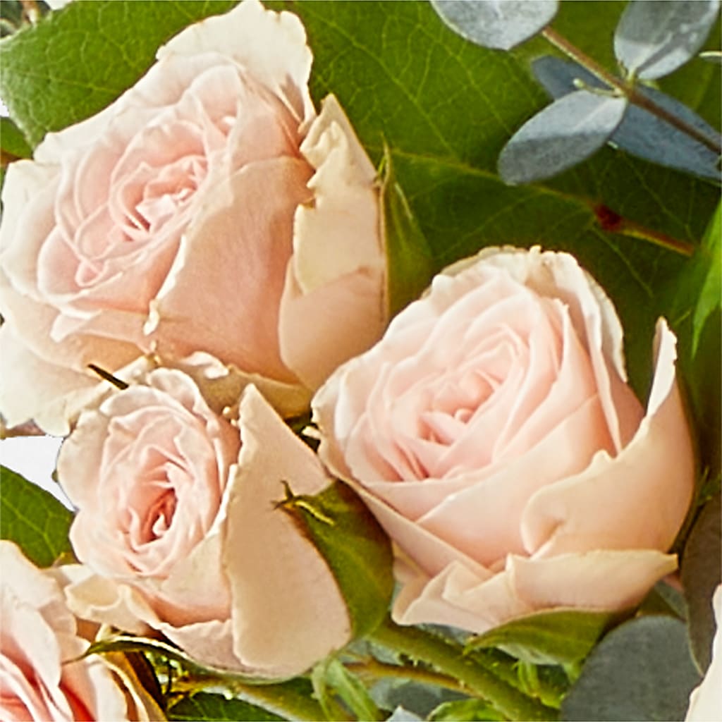 Inspired Bouquet –  Grayson Florist And Gifts, Independence VA