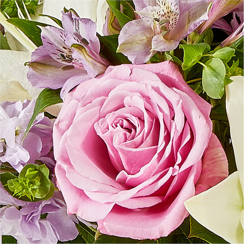 Daydreamer Bouquet –  Grayson Florist And Gifts, Independence VA