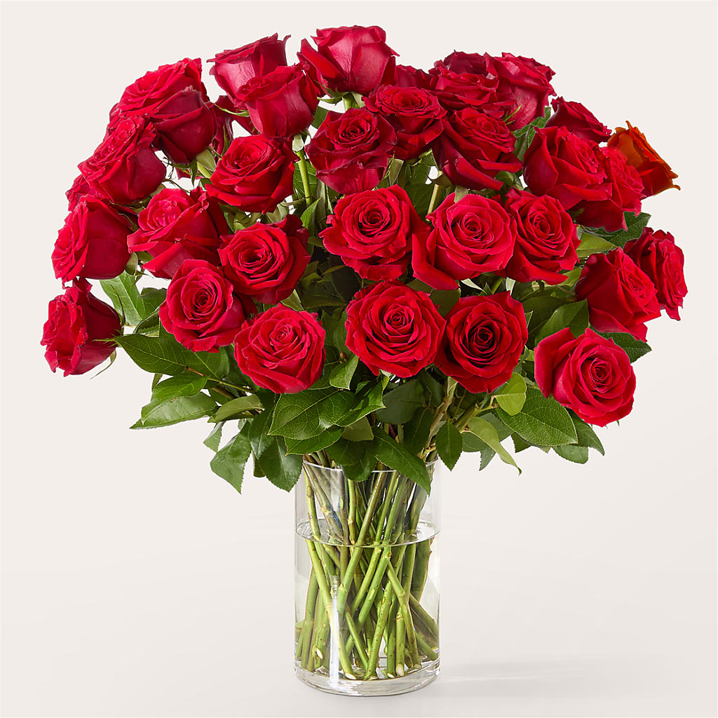 The One Red Rose Bouquet –  Grayson Florist And Gifts, Independence VA