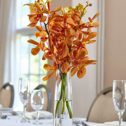 Orange Mokara Bud Vase –  Grayson Florist And Gifts, Independence VA