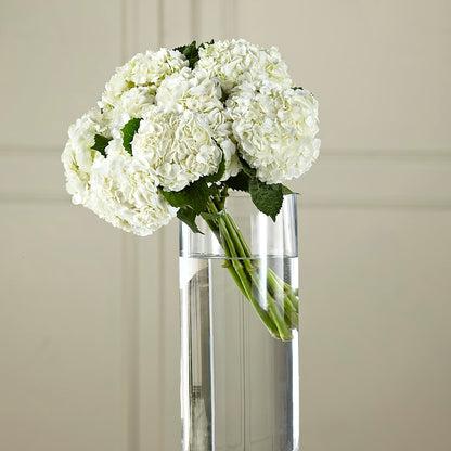 White Hydrangea Hand-Tied Bouquet –  Grayson Florist And Gifts, Independence VA