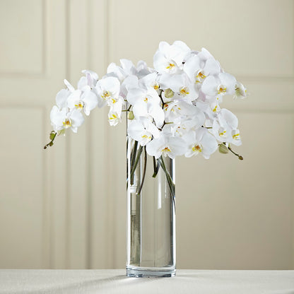 White Phalaenopsis Bouquet –  Grayson Florist And Gifts, Independence VA