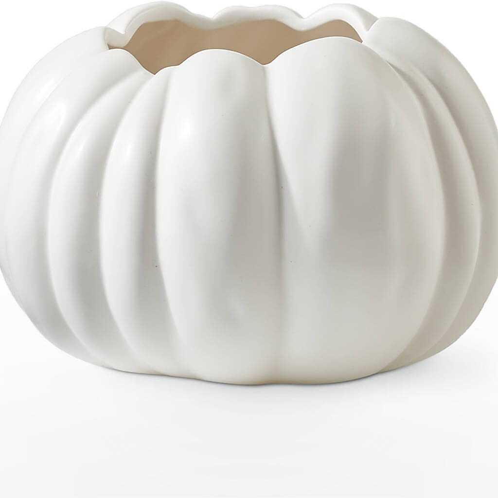 Pumpkin to Talk About Bouquet –  Grayson Florist And Gifts, Independence VA